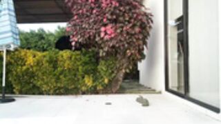 latingirl_kathy 2025-01-28 full show part 2