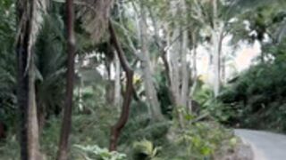 Scarlet # 18 - Balcony Fuck