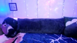 FayeWilde 31 canada 28.2.26