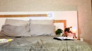 lyahaven 2026_02_23 -