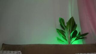 soy_destiny1 2026_02_11 - 1
