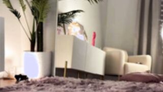 tenderiris 2025_12_25 - 1