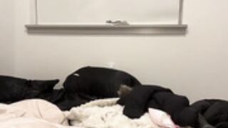 kateevans2 - naked, dildo fuck