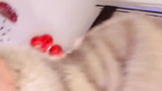 MissClairDeLune No.1