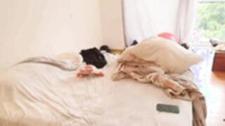 KendallTyler-1_29_2026