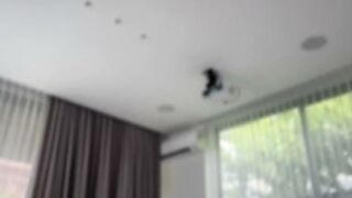 killer__tits 2026-02-16