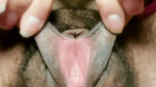 Justinedorian 20260313