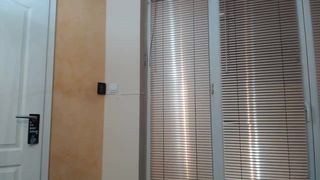 innocent_abby recording 17.09.2017