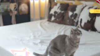 Olive You 2026-03-21 1226