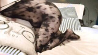 ms_mel_2026-03-13_08-40-46_976