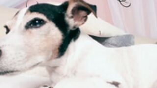 SavannahMay Myfreecams 2021-08-01_15-46-45