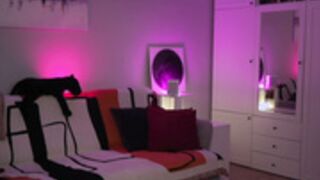 _blackbee_ 2026-03-20_10-20-37-004