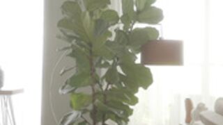 Emma_Lu1 0302 2