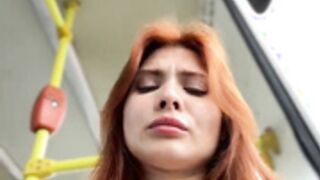 Accole Assole 11