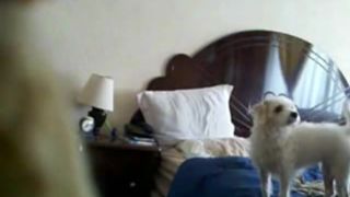 Camara oculta en el cuarto de Beatriz