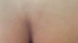 Wtbae swallow 1