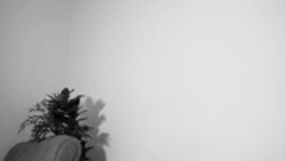 Joss_Caprice 2025-03-14 french mime