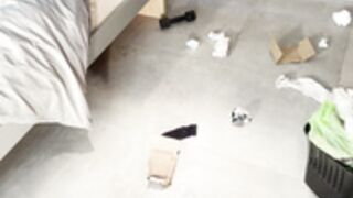 Rebecca de Winter. Mommy Finds your Dirty Sock