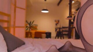 ocicat 2026-02-22