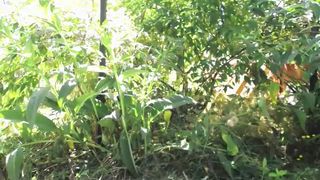 artemismoon - 170728