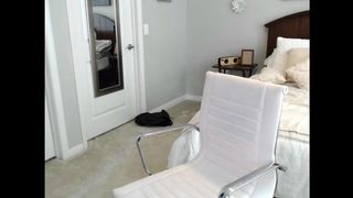 2.0 MissPeabody is very cute