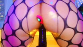 Renata_Miller 3-22-26 p3 wet