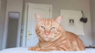 catanddickxxx 2025/10/26 3