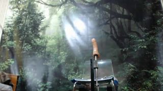 Sexyfoxy707 13-07-2016