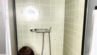 palmiratownzen 280426-1 2