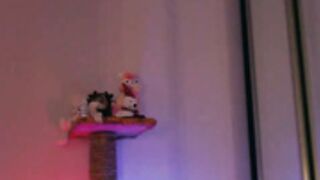 roxy_di 2021