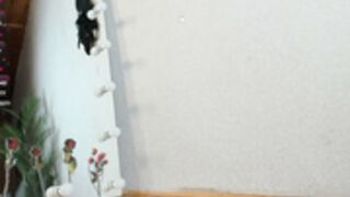 euphoria_life 111