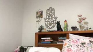 kittengirlxo 41