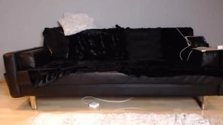 tempting_tigress recording 29.09.2017