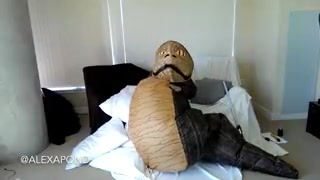 alexapond 1