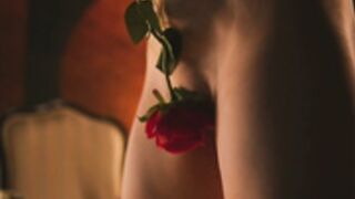Rocknrose 379
