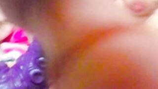siswet19 030526g