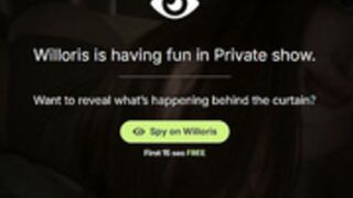 Willoris 22