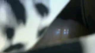 Fifaanselmo cam recording 2013 December 17