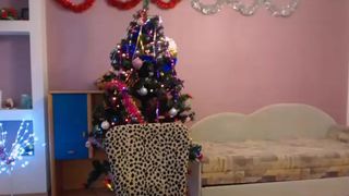 Yrgirlfriend cam recording 2014 December 28_11-49-15