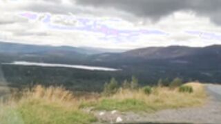 dani daniels roadside blowjob cum swallow