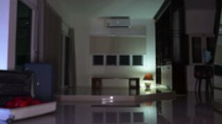 night_jelly May-01-2026 2