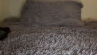 queenpeachz_2026-03-21_17-01-27_934.ts