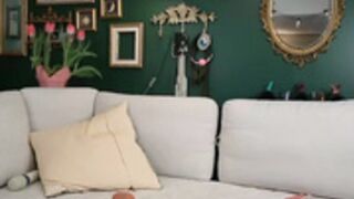Vivid_Whit 4/18/25