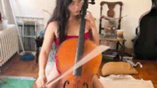Chiloschista 2026-05-18