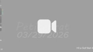 petitebrat 20260329 A