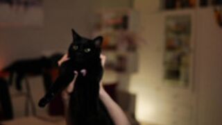 _blackbee_ liveshow 14-05-2025