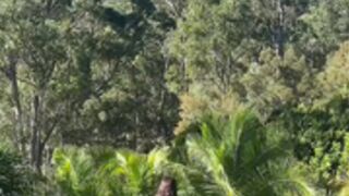 Gracewearslace Gets Her Pussy Fucked Outdoors