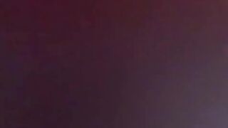 Amylaa 6