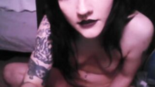 kattattacck 051426