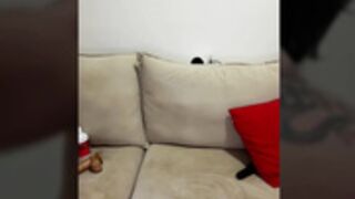 NathFox - 2026-04-27